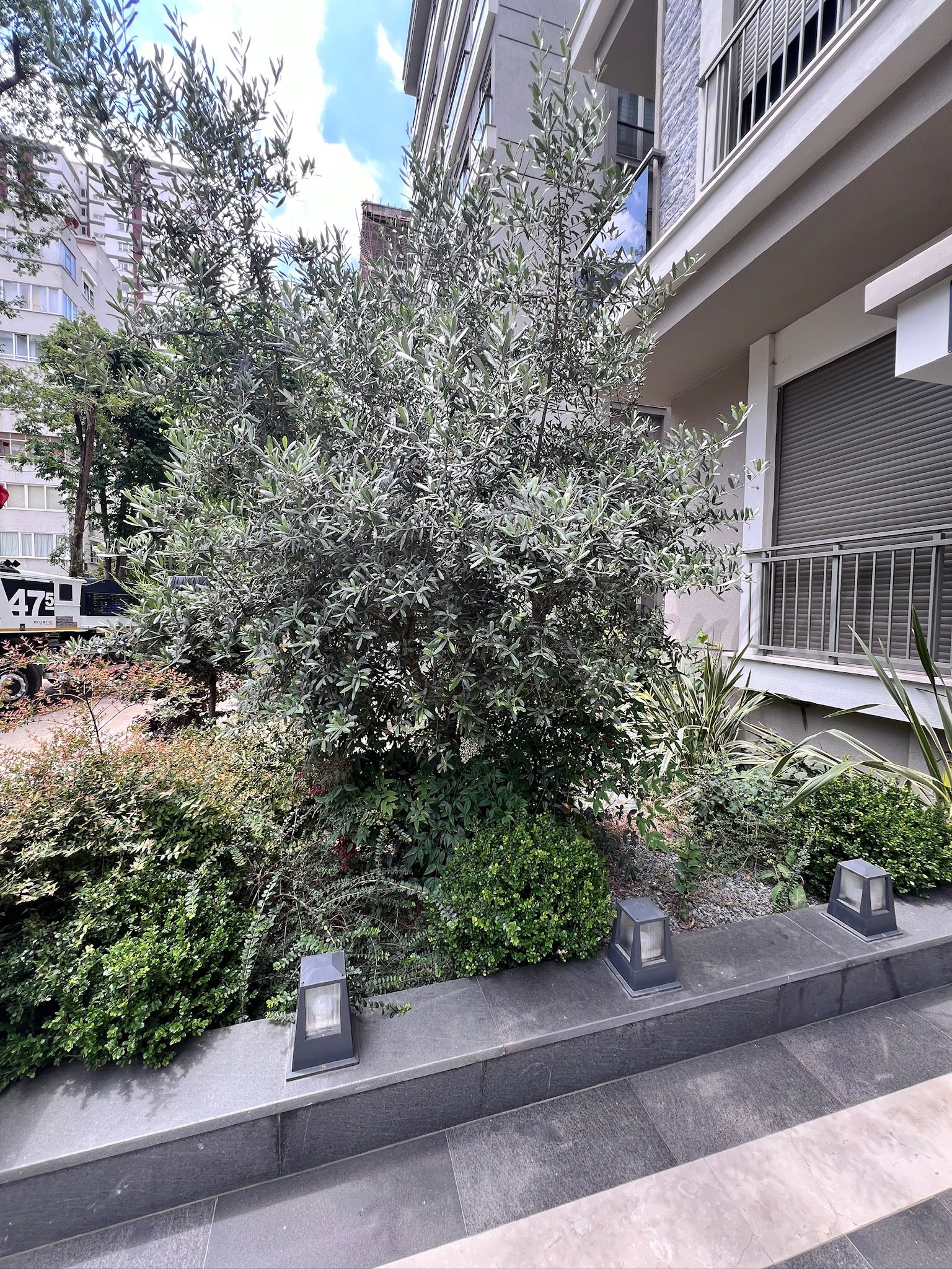 CADDEBOSTANIN EN YEŞİL SOKAĞINDA EMSALSİZ KALİTEDE 280m2 DUBLEX